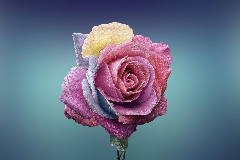 Decorative Flora