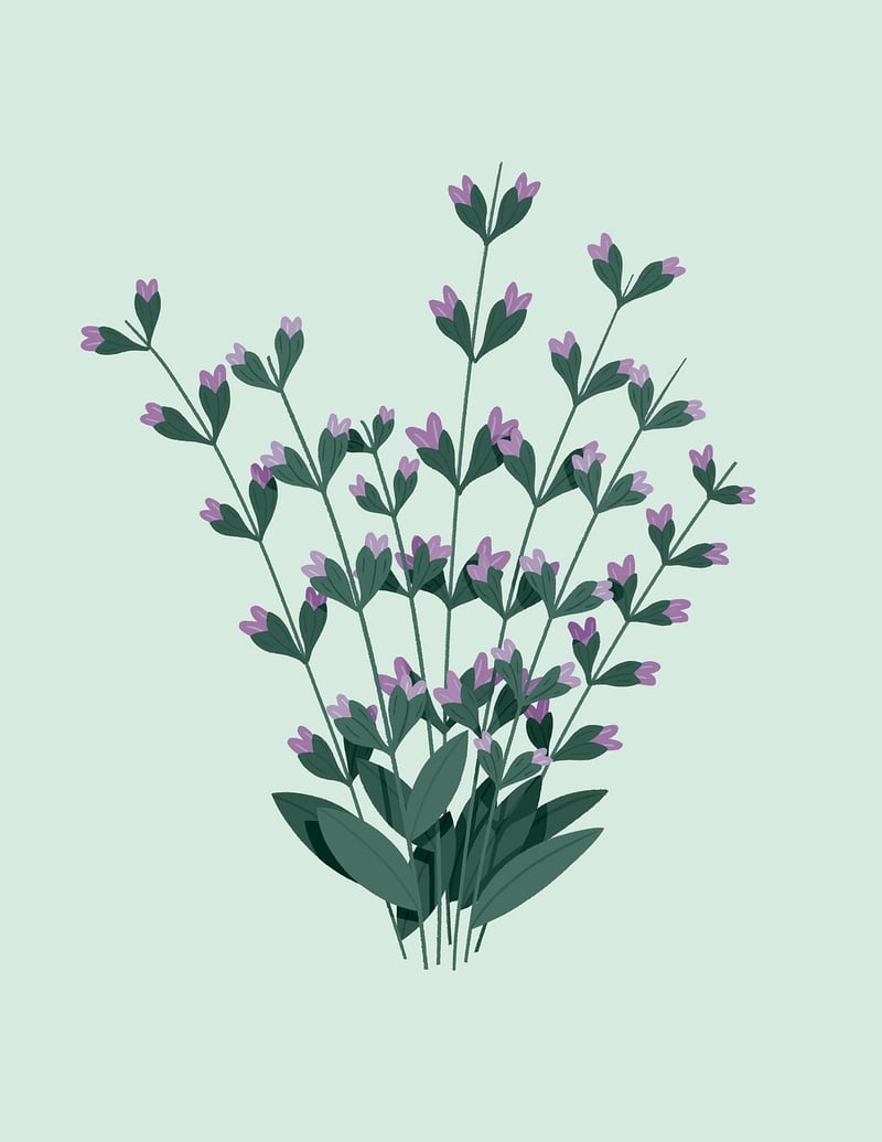 Minimalist Gardens