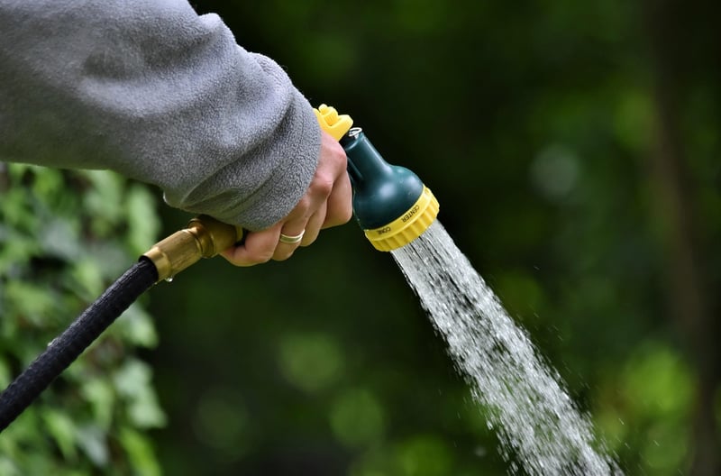 Watering Methods